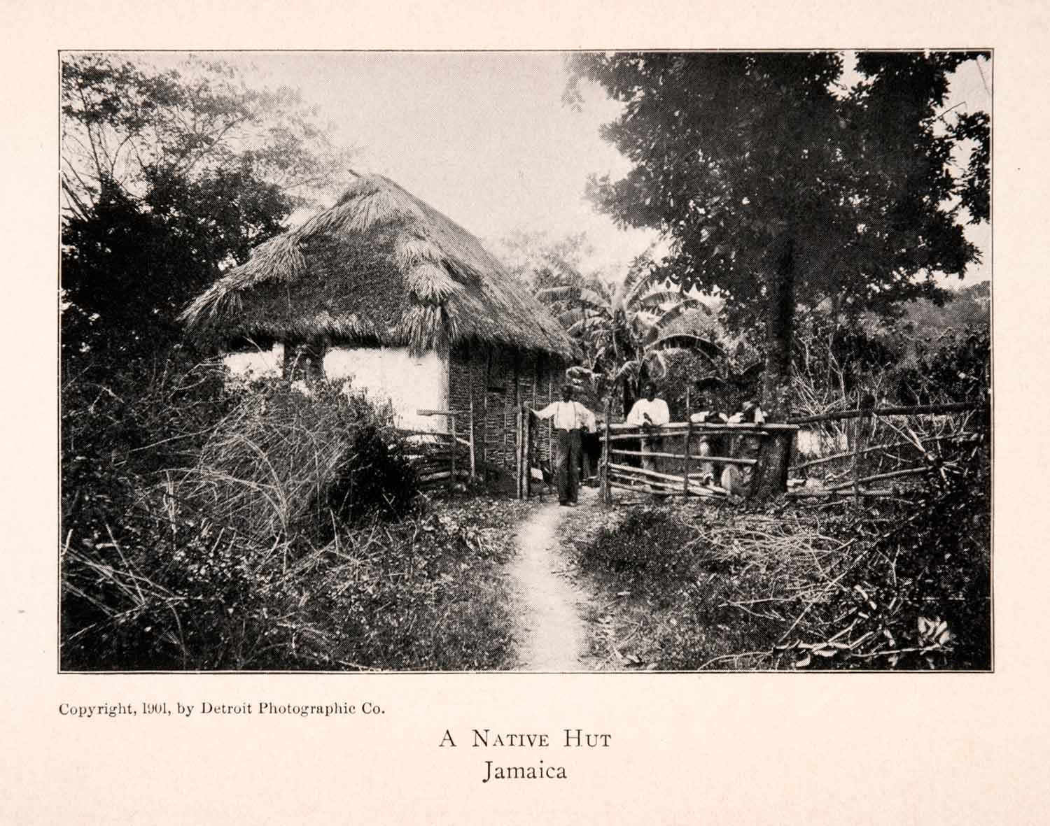 1904 Halftone Print Native Hut Dwelling Jamaica Ethnic Caribbean Tropical XGKA3