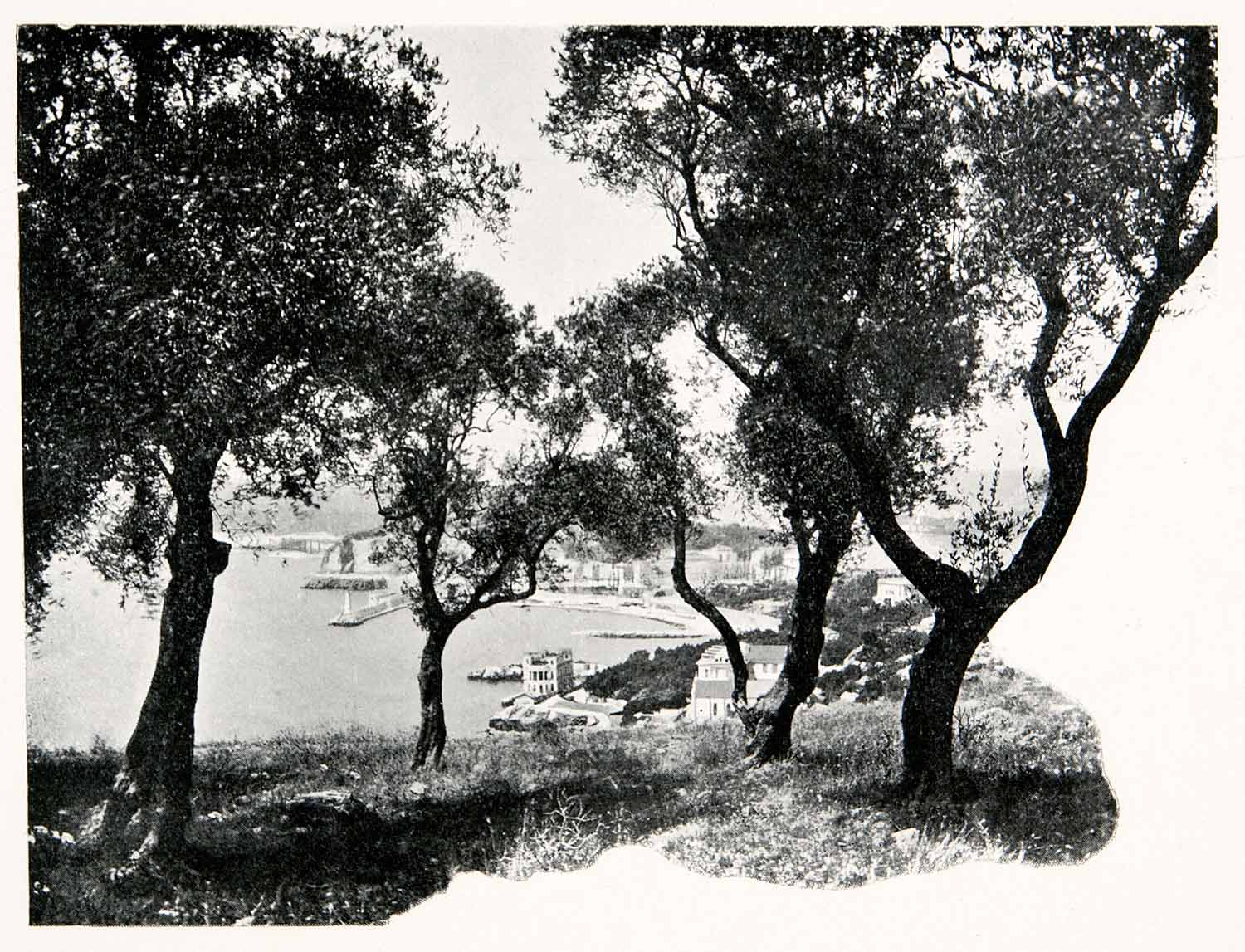1902 Print Hills Forest City Nice French Riviera Eastern Mediterranean Sea XGKB3