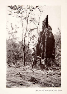 1927 Print Kotto River Africa Giant Ant Hill Mound Wildlife Entomology XGKC3 - Period Paper
