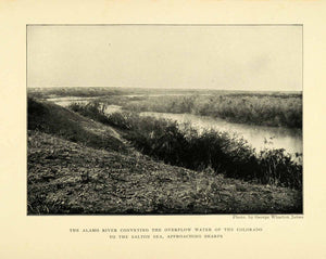 1906 Print Alamo River Landscape Natural History G. Wharton James XGL5