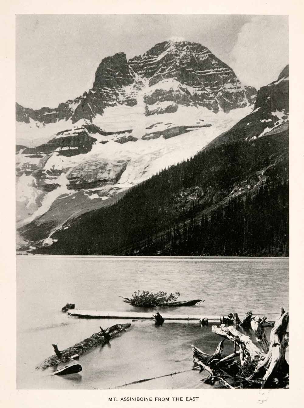 1900 Halftone Print Mt Assiniboine Mountain Canadian Rockies Continental XGLA8