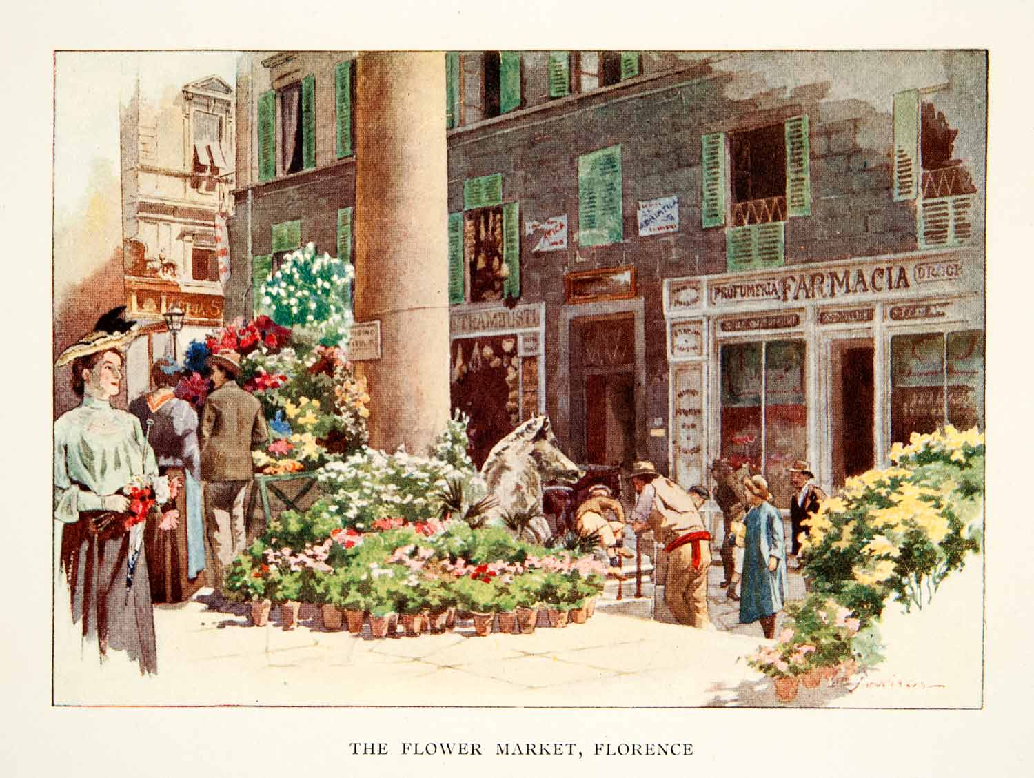 1907 Color Print Flower Market Florence Italy William Parkinson Botanical XGLB1