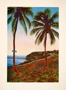 1926 Color Print Caribbean Islands Shore St. John Palm Trees Coast Tropics XGLB4