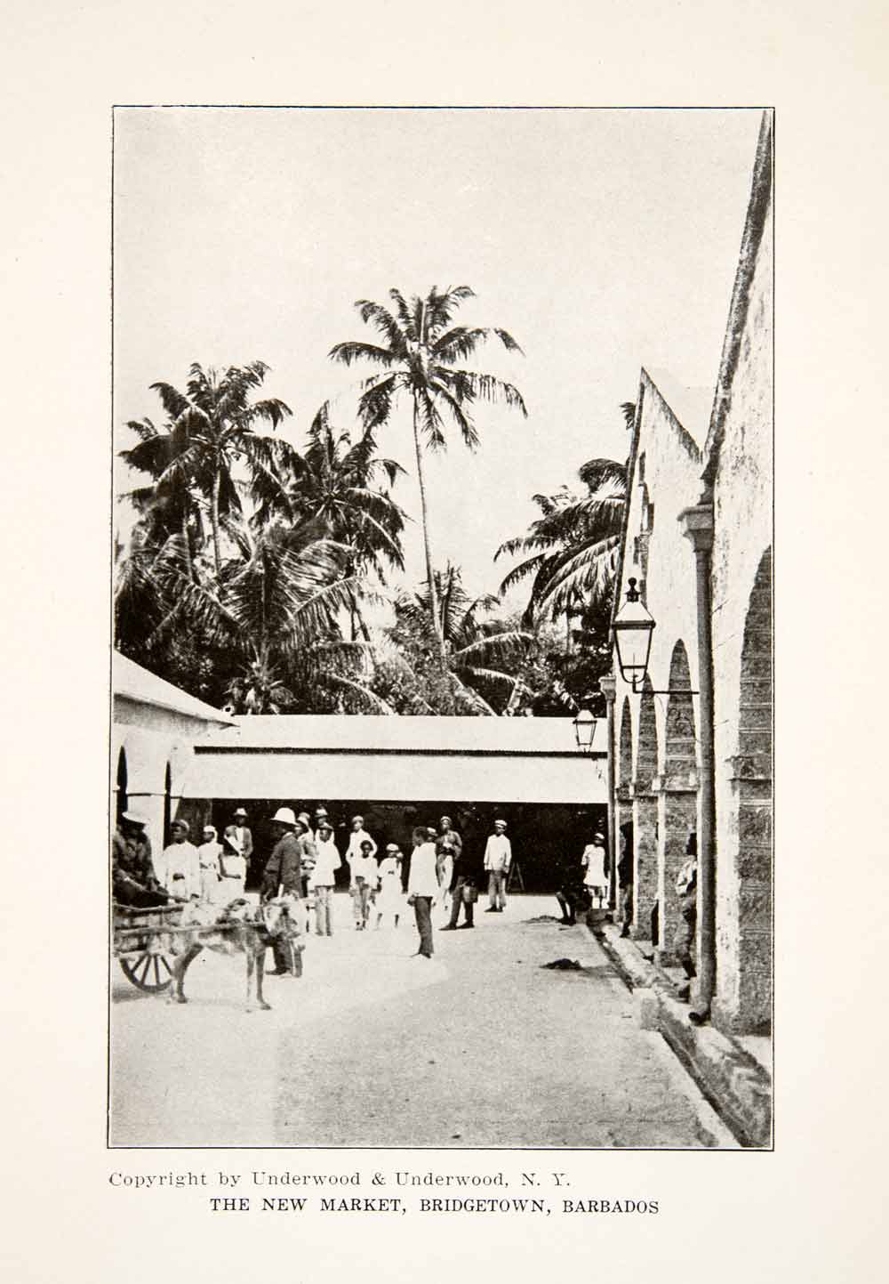 1926 Print New Market Bridgetown Barbados Caribbean Island Donkey Cart XGLB4