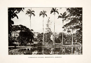 1926 Print Codrington College Bridgetown Barbados Caribbean Island XGLB4