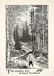 1947 Lithograph Fir Forest Quebec Canada Mount Tremblant Laurentian XGLB5