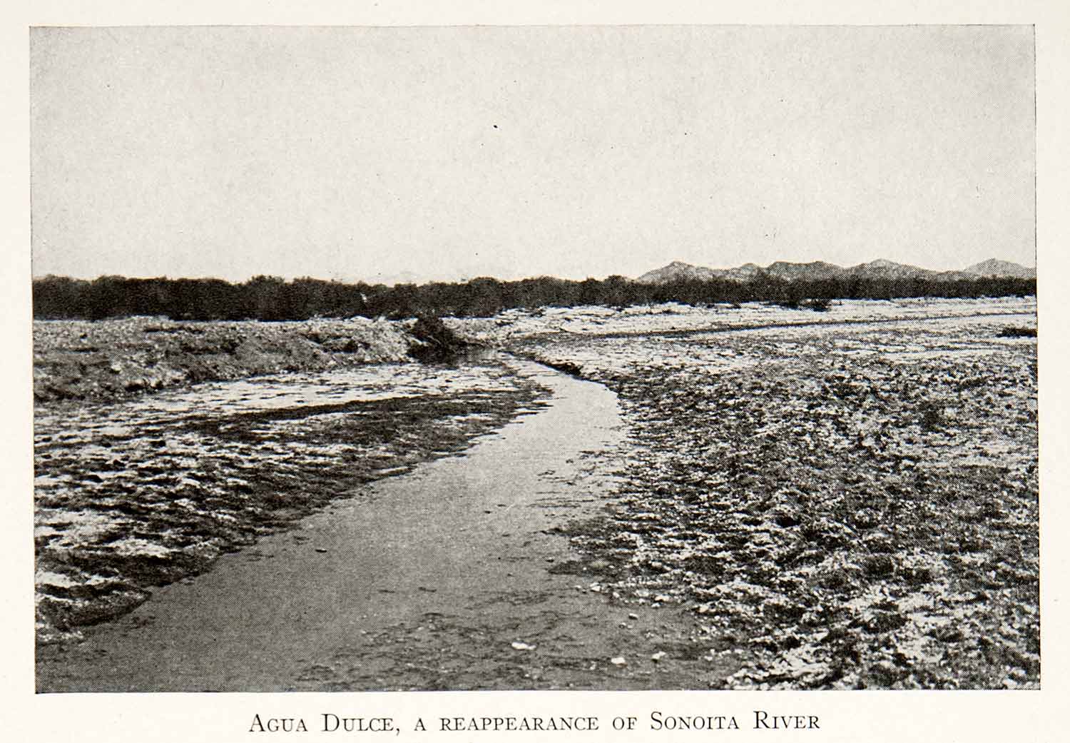 1912 Print Agua Dulce Stream Sonoita Creek Santa Cruz County Arizona XGLB9