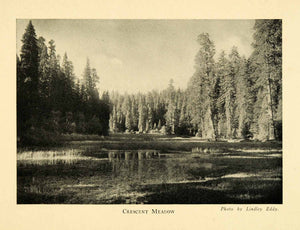 1928 Print Crescent Meadow Sequoia National Park Scenery Prairie Tree Lake XGM6