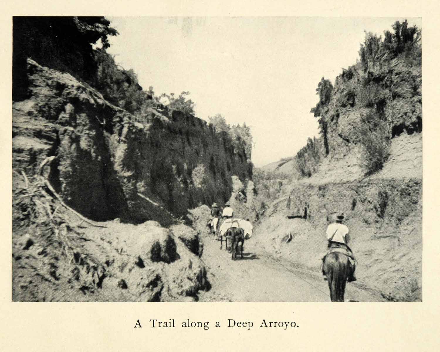 1906 Print Arroyo Trail Deep River Creek Horseback Landscape New Mexico XGM8