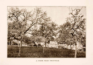 1905 Halftone Print Orchard Farm Trouville Grove Tree France Rustic Spring Farm