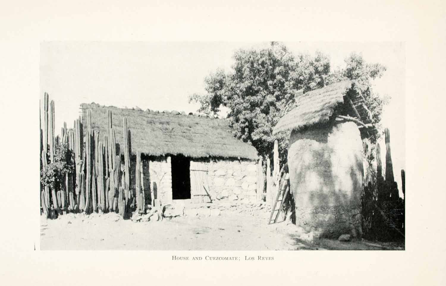 1908 Print House Cuezcomate Los Reyes Cityscape Cactus Trees Outhouse XGMA4