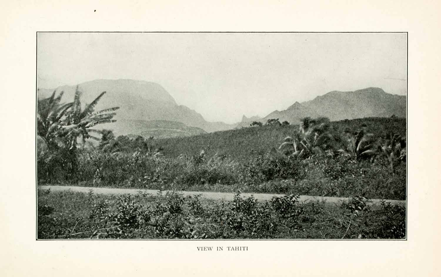 1902 Print Tahiti French Polynesia Mountains Jungle Palm Tree Landscape XGMA6