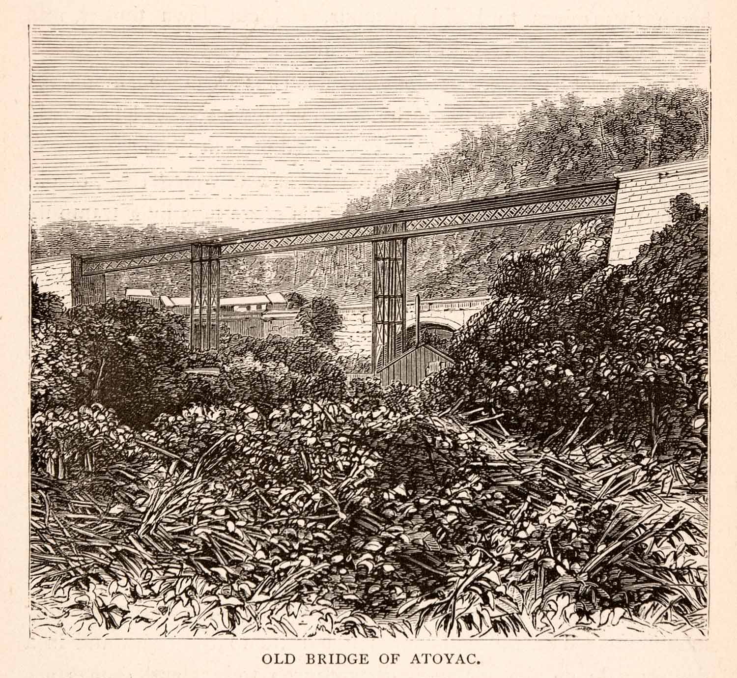 1875 Woodcut Bridge Atoyac Mexico Casimior Castro Railway Railroad XGMA8