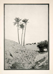 1926 Print Nefta Road Land Gold Sand Ruin Northern Africa Camels Desert XGMB1