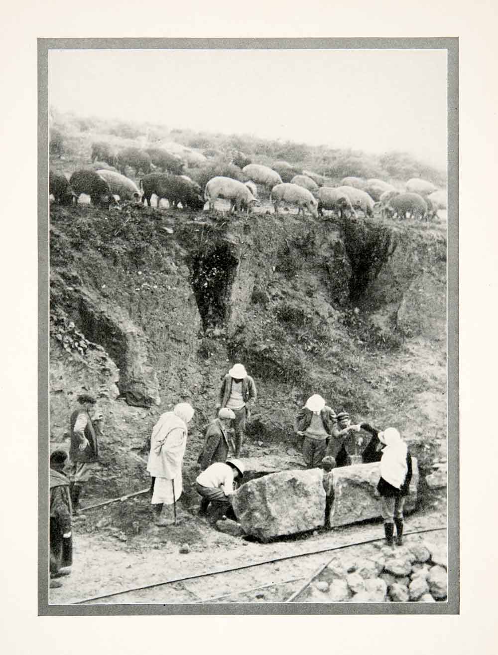 1926 Print Utica Past Present Northern Africa Pigs Archeologists XGMB1