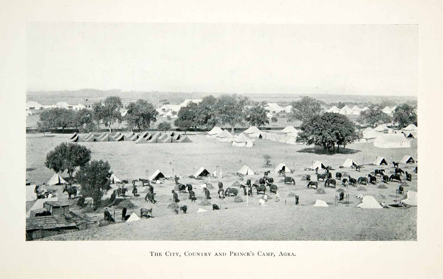 1906 Print City Country Prince Camp Agra Tents Horses Military Trees XGMB8