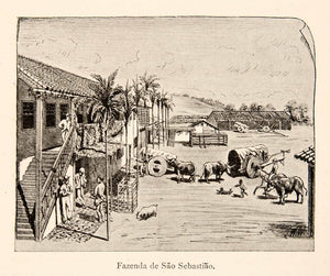 1886 Print Fazenda De Sao Sebastiao Brazil Paulo Tropic of Capricorn XGMC6