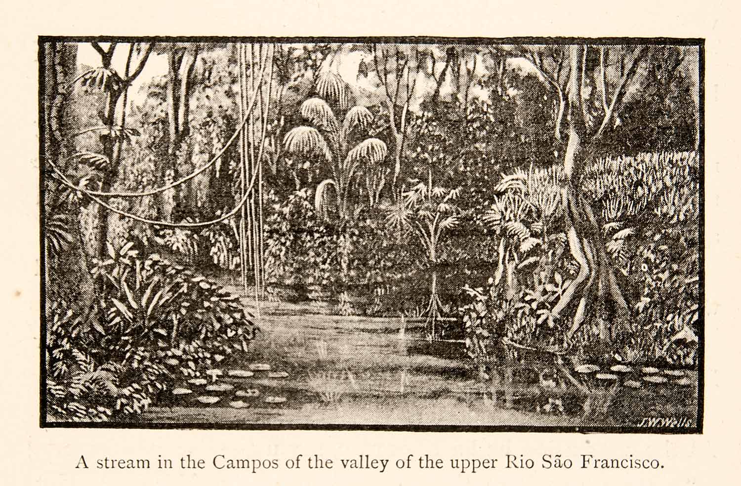 1886 Print Stream Campos Valley Upper Rio Sao Francisco Water Landscape XGMC6