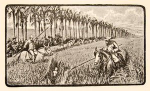 1887 Print Landscape Pigsticking Goyaz Brazil Horses Hunters Boar Hunting XGMC7