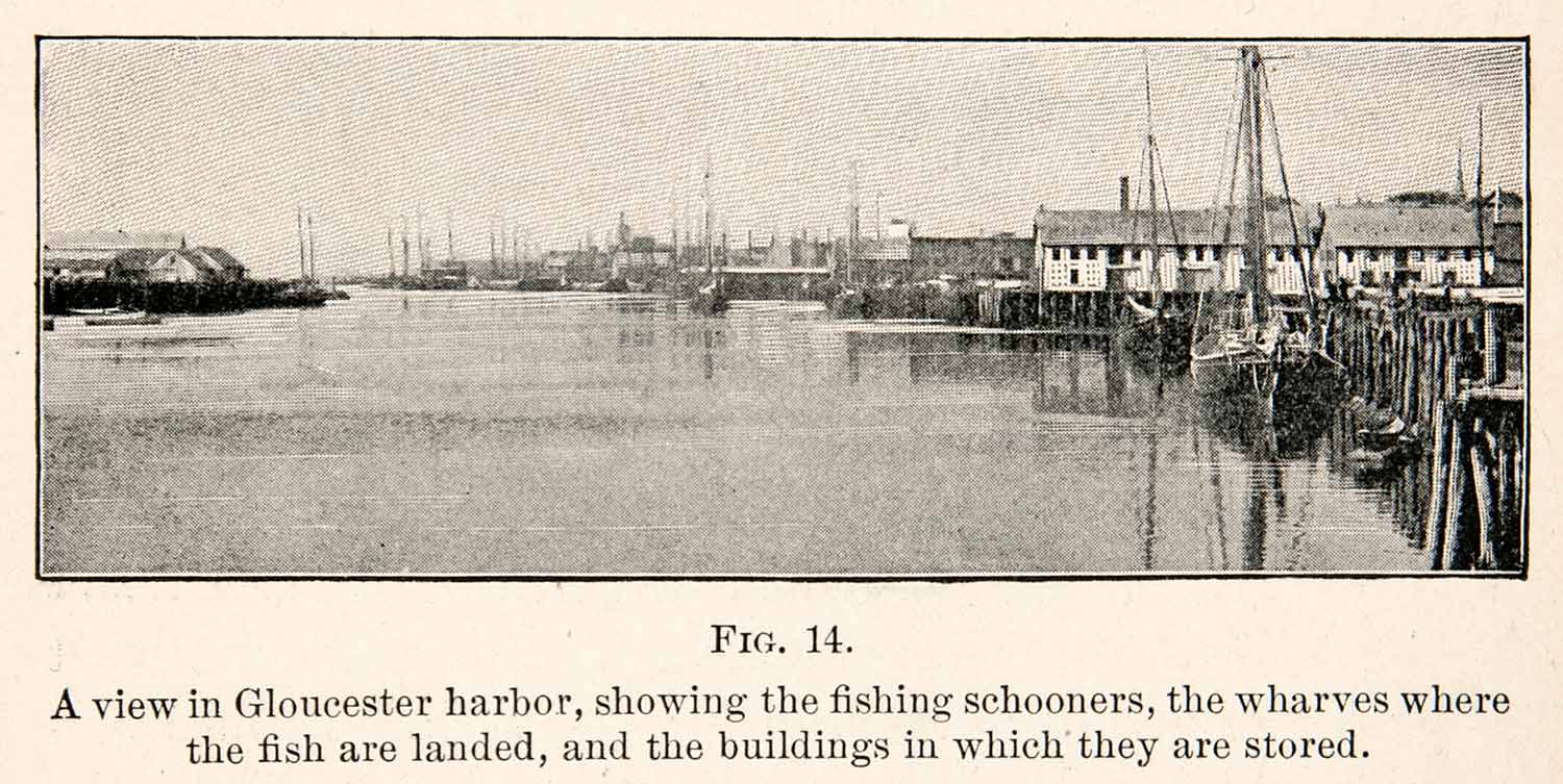1908 Print Gloucester Harbor Fishing Schooners Whavres Massachusetts Cape XGMC9