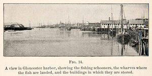 1908 Print Gloucester Harbor Fishing Schooners Whavres Massachusetts Cape XGMC9