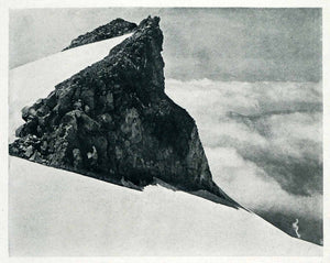 1910 Print Tahoma Glaciers Fork Nisqually Big Brule Cities of Refuge Mt XGN1