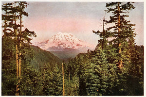 1910 Print Electron Mountain Forest Canyons Mount Rainier National Park XGN1