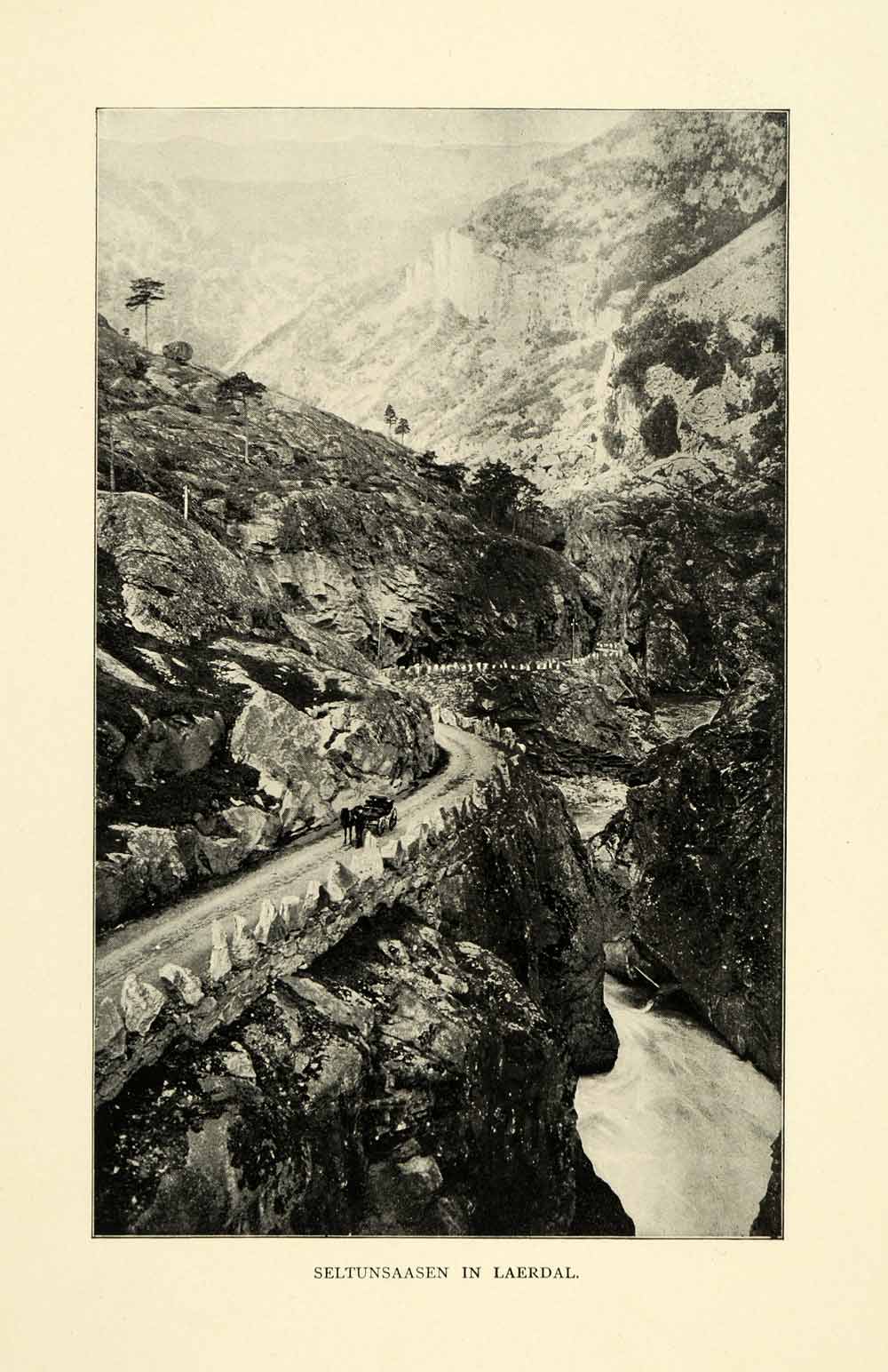 1901 PrintSeltunsaasen Laerdal River Mountains Trees Rock Horse Carriage XGN3