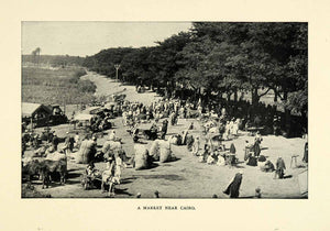 1901 Print Market Cairo Egypt Commerce Trade Crowds Trees Horses Carts XGN3