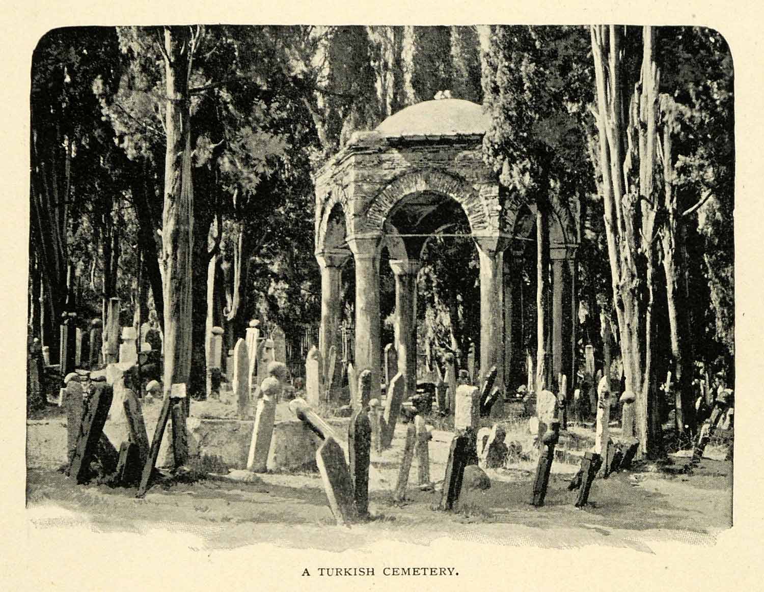 1901 Print Turkish Cemetary Burial Gravestones Memorial Dead Cypress Trees XGN3
