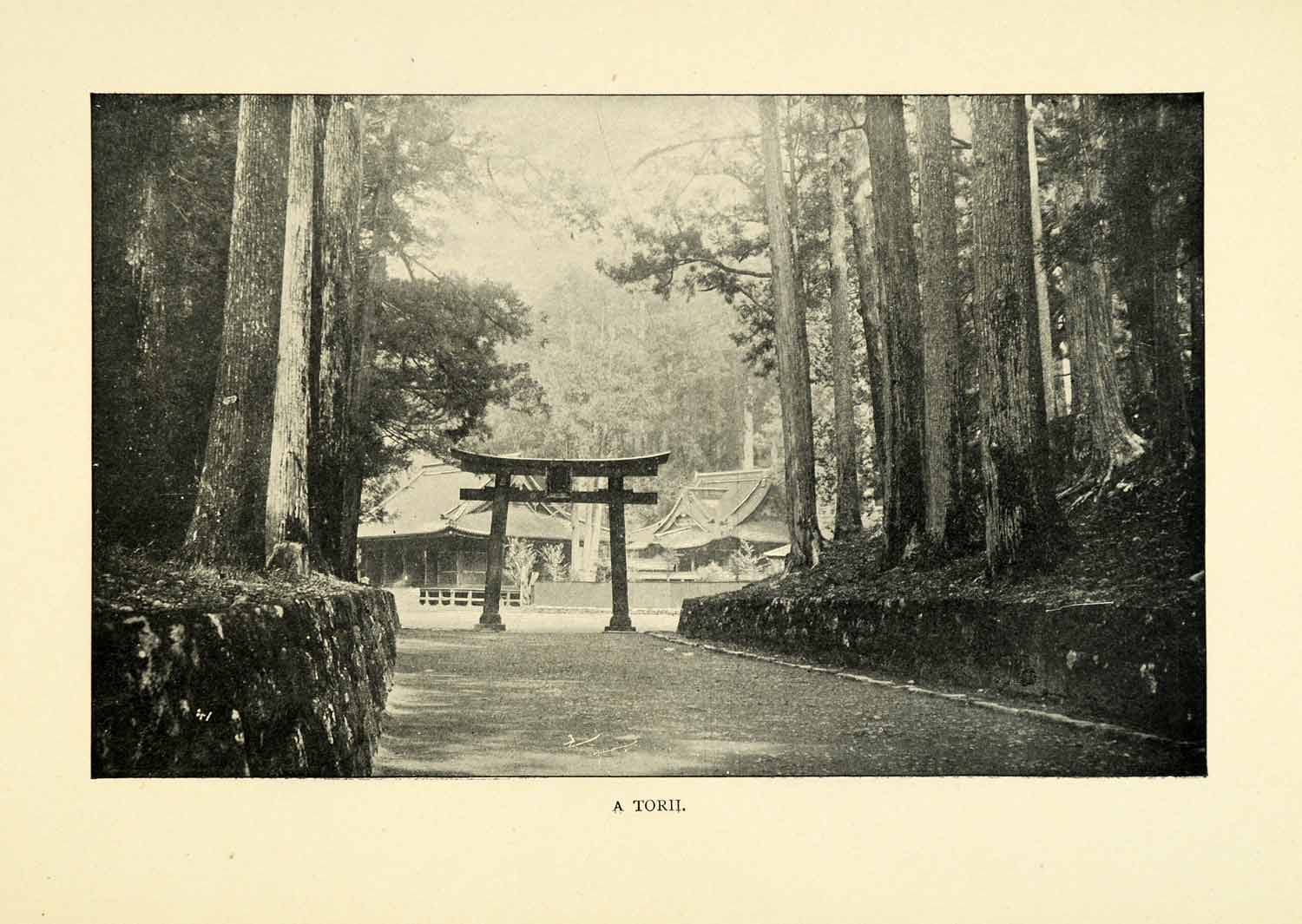 1900 Print Torii Japan Gazebo Trees Shrine Entrance Gate Sacred Shinto XGN4