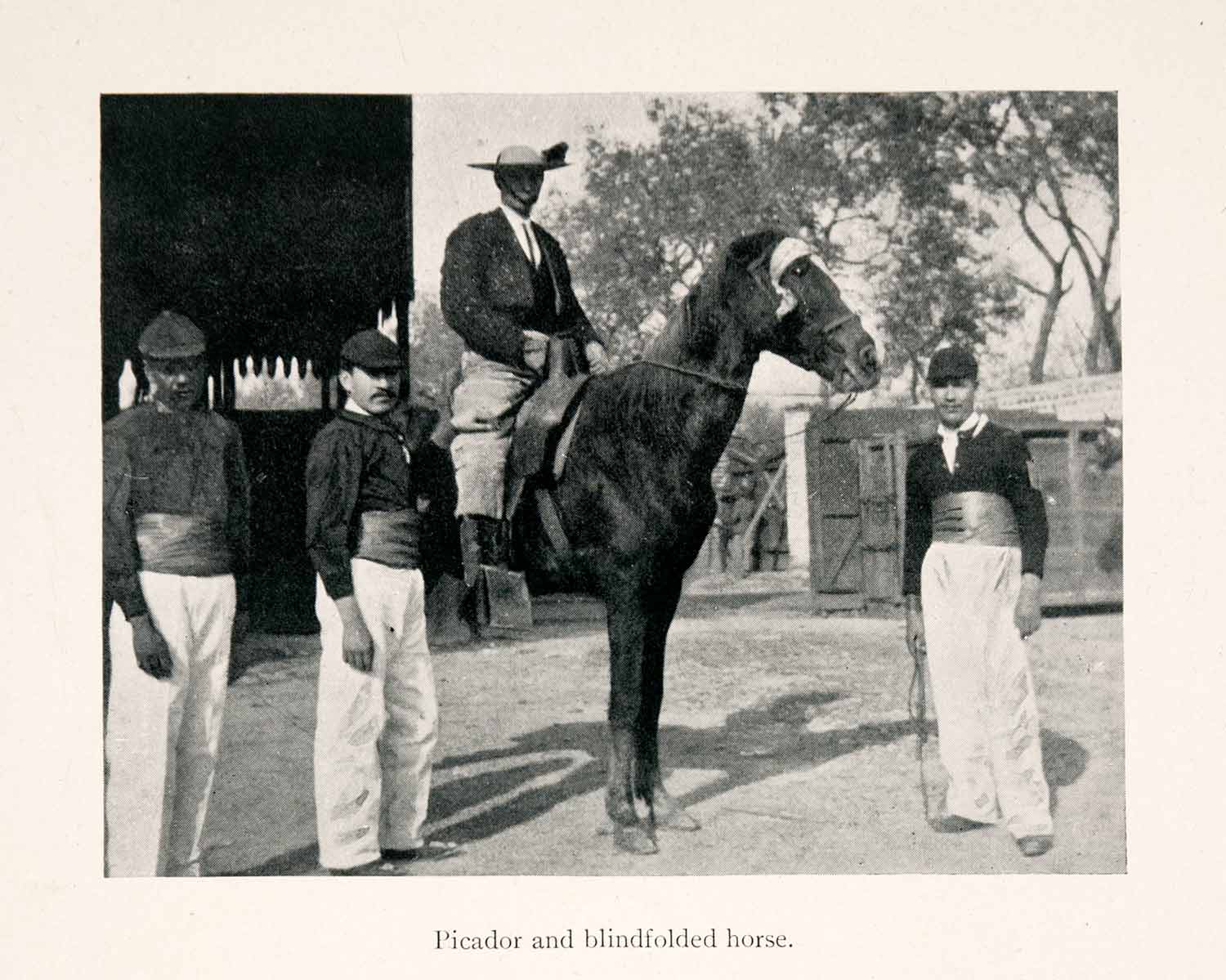 1902 Halftone Print Picador Blindfolded Horse Costume Sport Bullfighter XGNA5