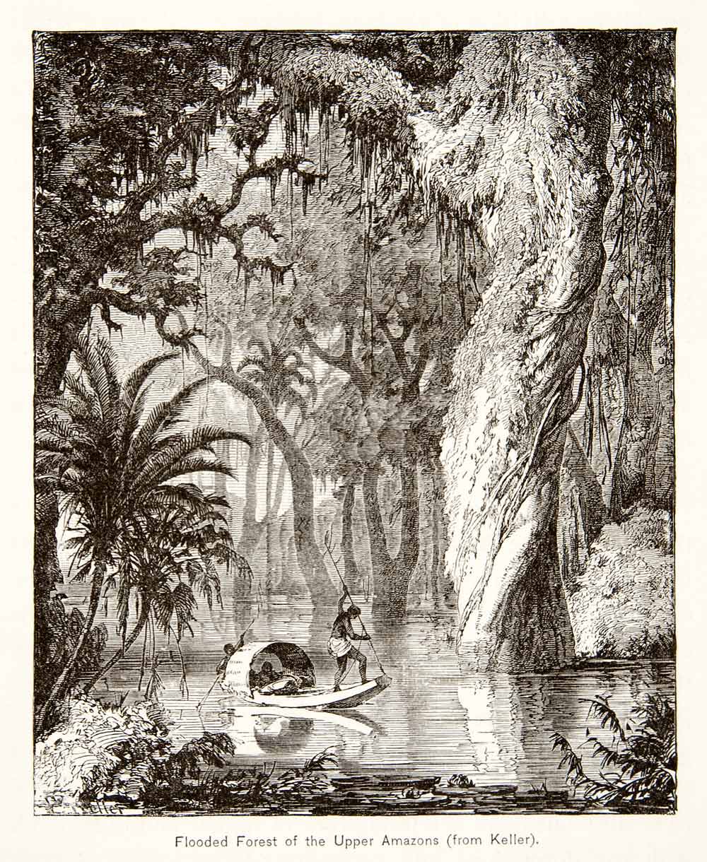 1879 Wood Engraving Flooded Amazon Rain Forest Brazil Cultural Boat XGNB4