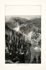 1902 Print Yellowstone National Park River Falls Forest Cliffs Wyoming XGNB6