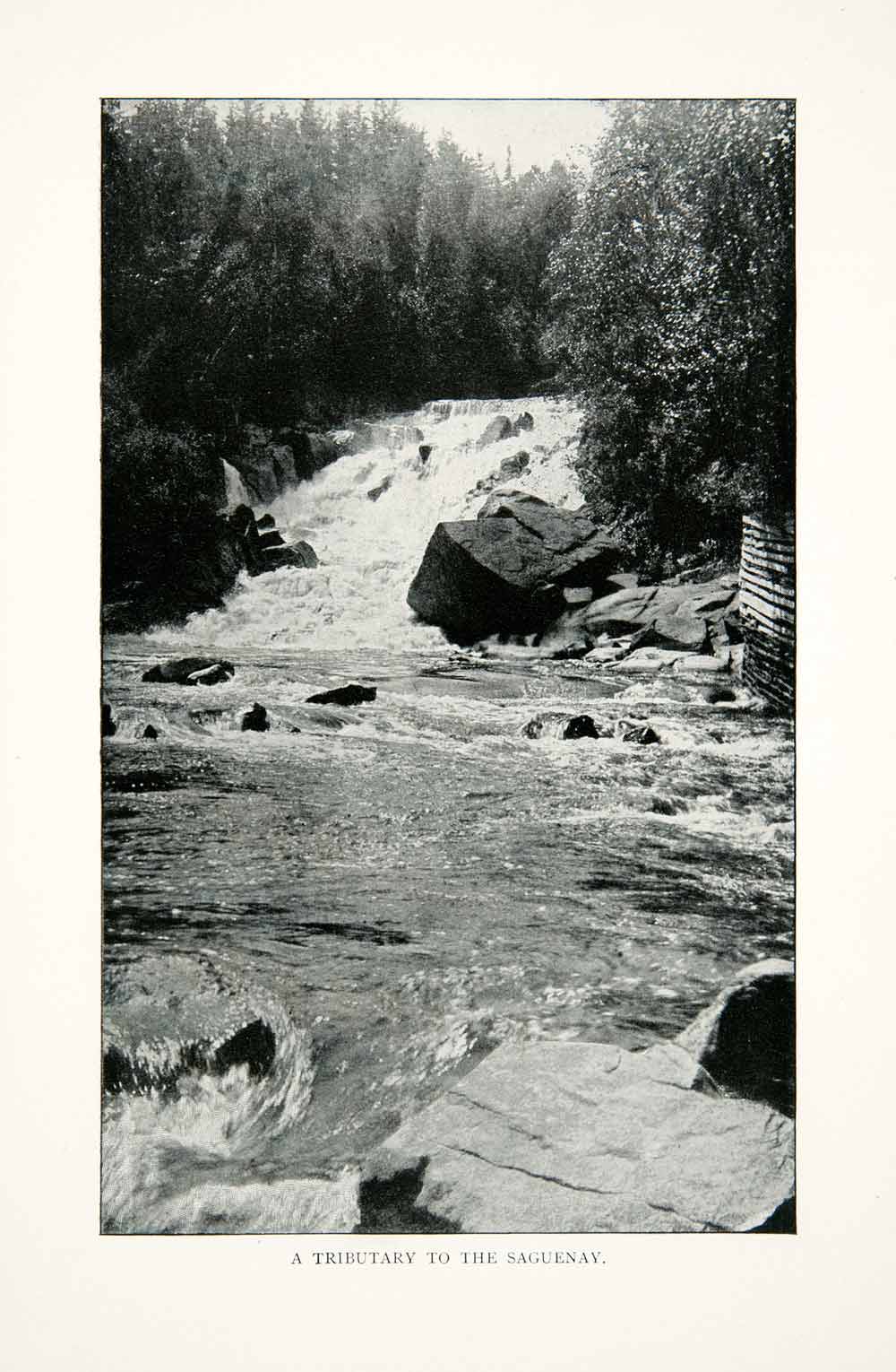 1902 Print Tributary Saguenay River Quebec Canada Landscape Rapids Rocks XGNB7