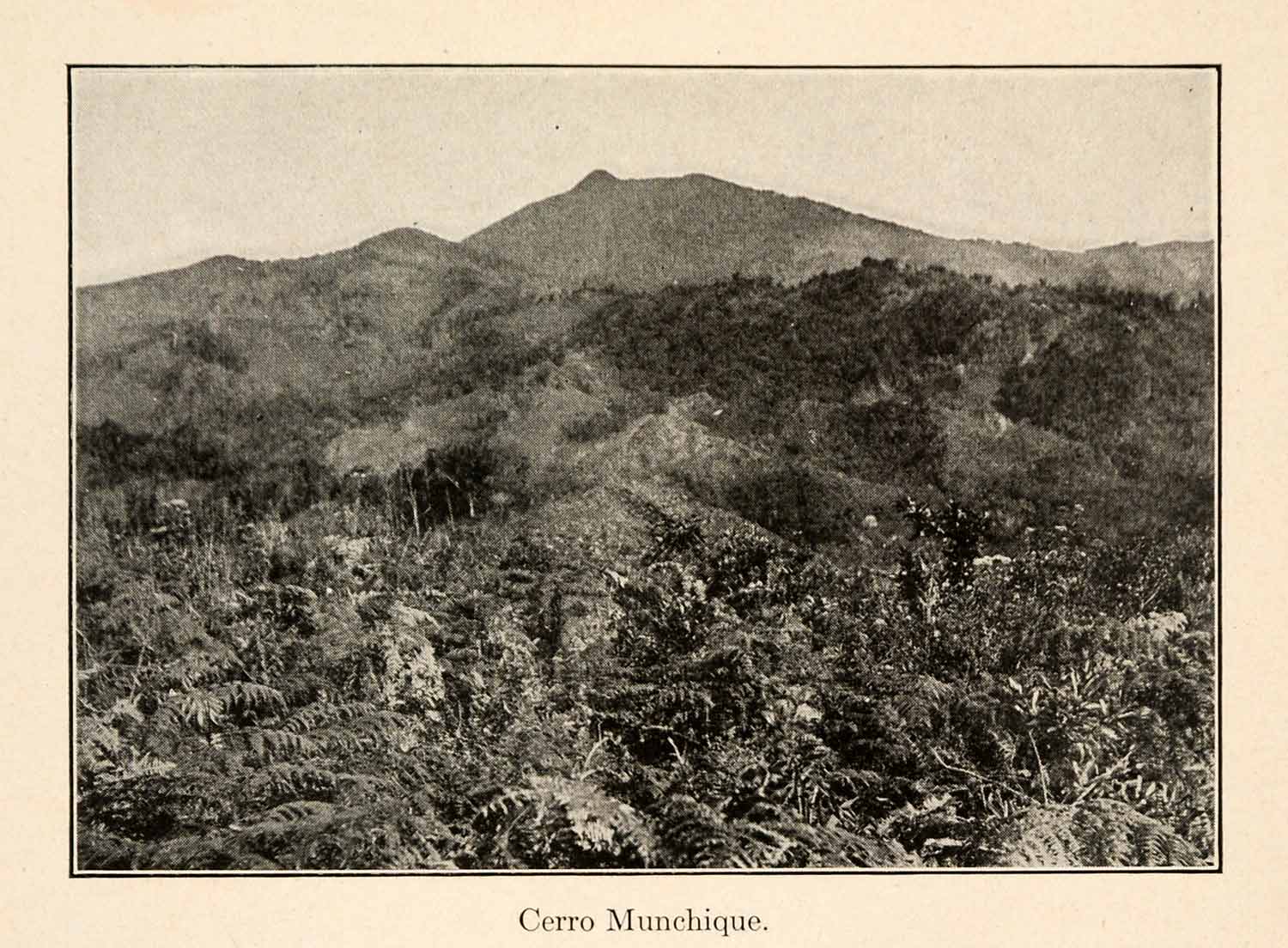 1919 Halftone Print Cerro Manchique Popayan Manuelita Plantation South XGO2