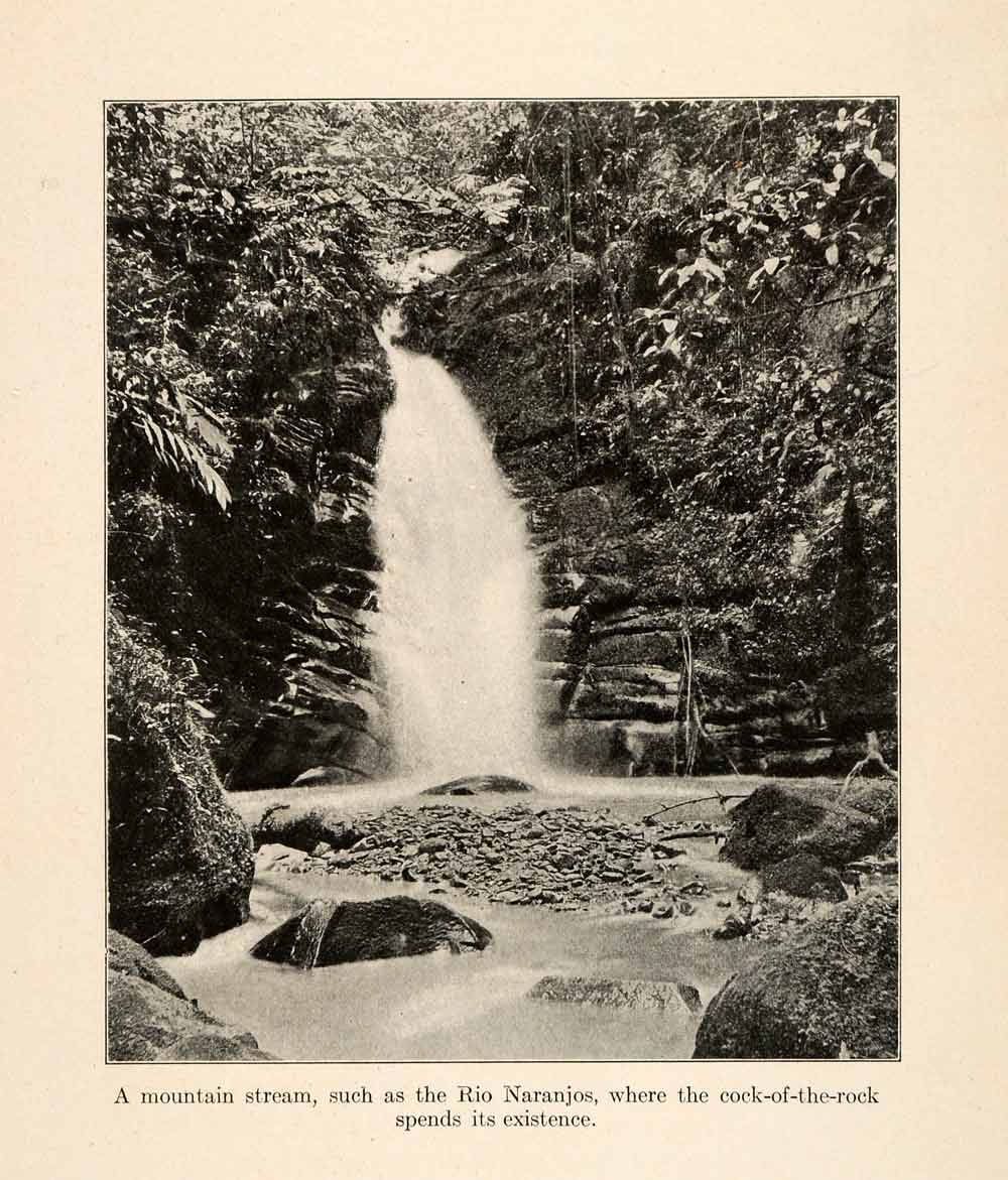1919 Halftone Print Mountain Stream Waterfall San Agustin Huila South XGO2
