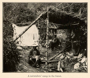 1919 Halftone Print Naturalist Camp Puerto Valdivia Cauca Antioquia XGO2
