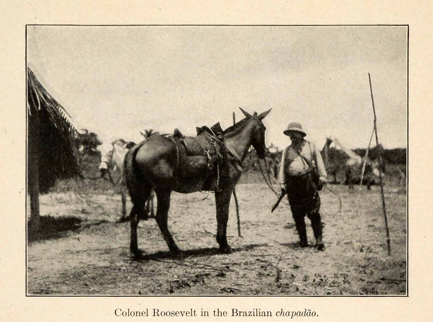 1919 Halftone Print Colonel President Theodore Roosevelt Chapadao Mesa XGO2