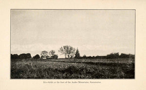 1919 Halftone Print Rice Field Sarmiento Argentina South America Andes XGO2