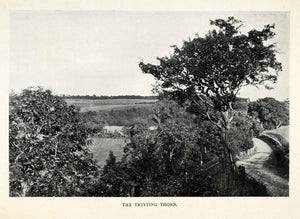 1904 Print Trysting Tree Hawthorn Mannoch Robert Burns Coylton Ayrshire XGO4