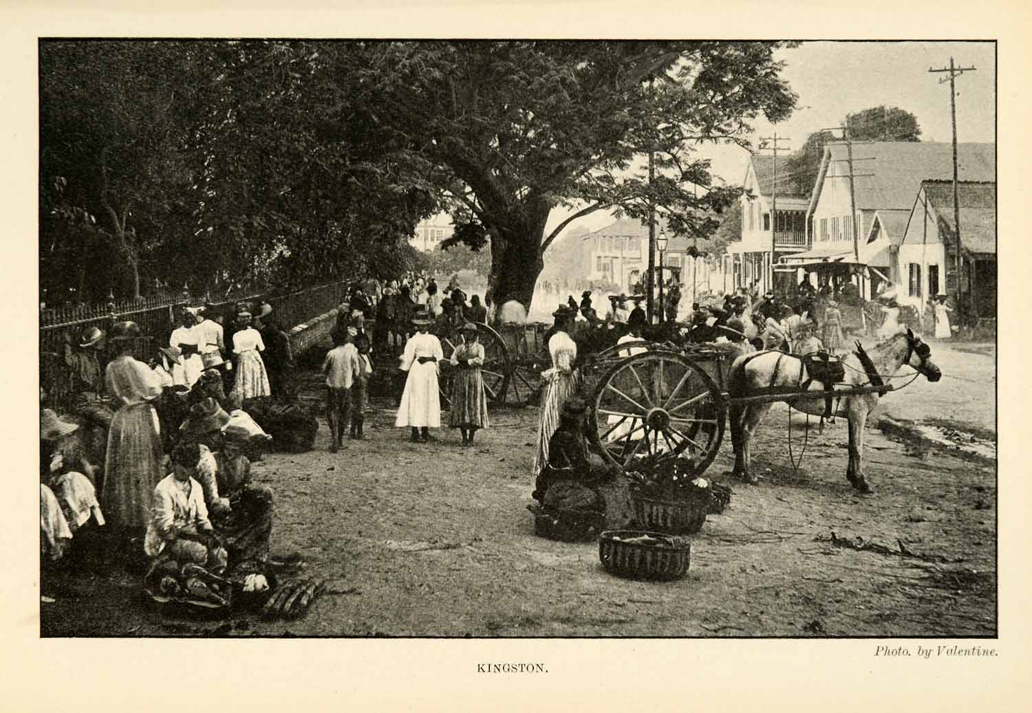 1901 Halftone Print Kingston Jamaica City Island Rural View Street Houses XGO8