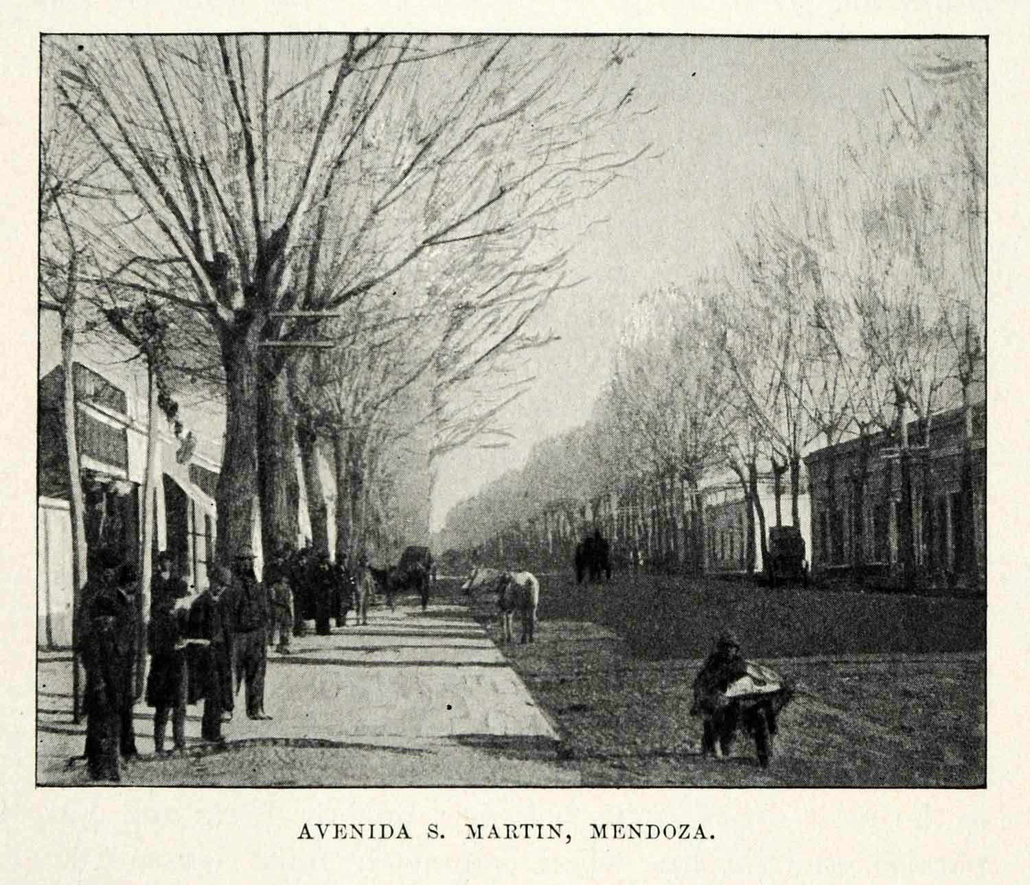 1901 Halftone Print Mendoza City Argentina Avenida S. Martin Street People XGO8