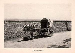 1905 Halftone Print Peking Cart China Horse Mode Transportation Stone Wall XGOA2
