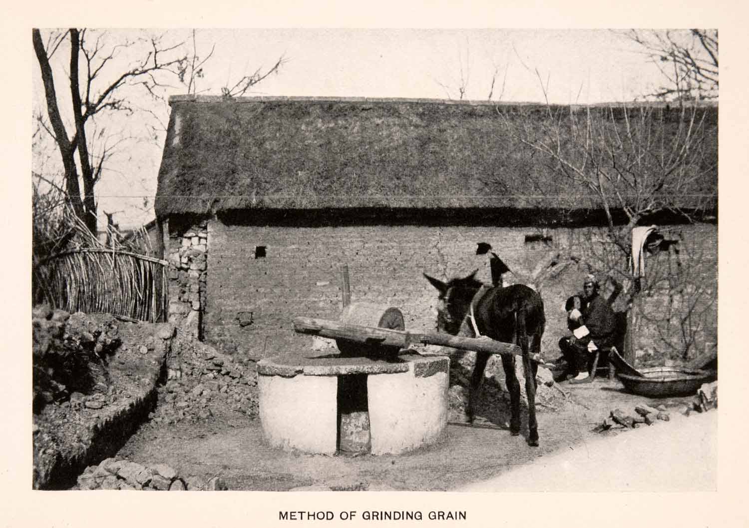 1905 Halftone Print Method Grinding Grain Farming Donkey Brick Building XGOA2