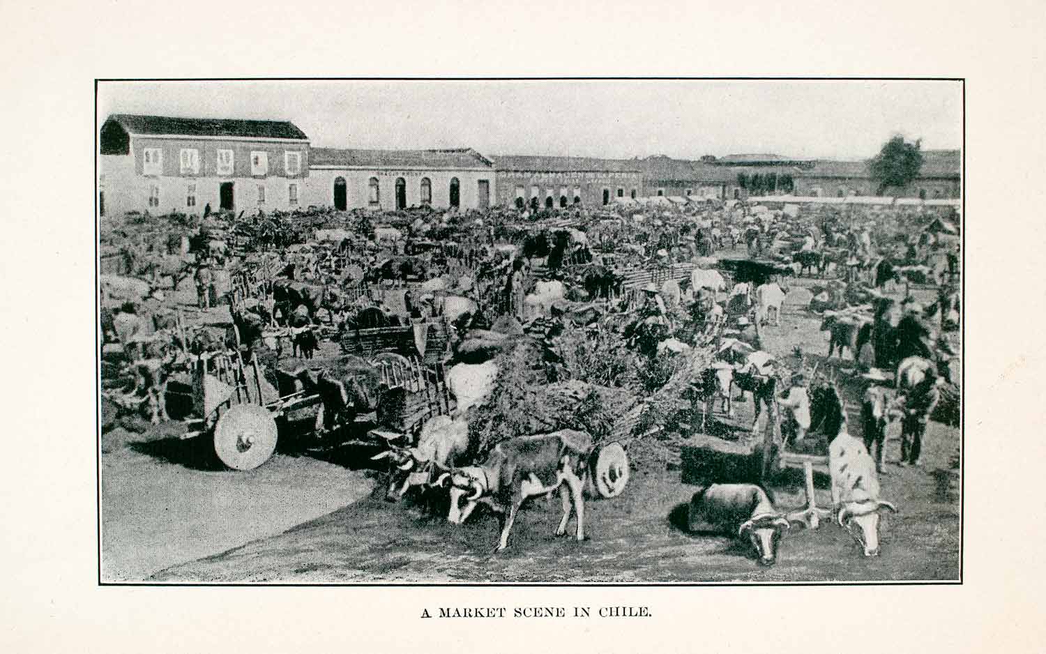 1907 Halftone Print Open Air Market Scene Chile Ox Carts Bazaar Square XGOA6