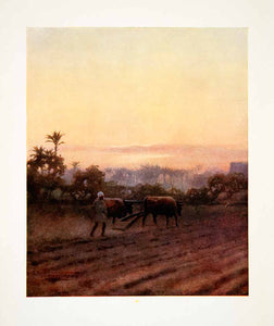 1906 Color Print Land Goshen Egypt Plowing Field Oxen Fellah Robert Talbot XGOB7