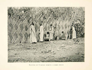 1915 Print Uganda Africa Natives Reed Fence Construction Ethnic Tribal XGOC6