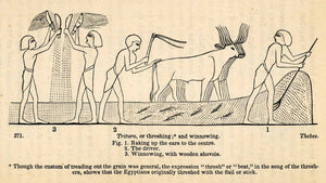 1854 Woodcut Ancient Egyptian Agriculture Livestock Grain Farming XGP5