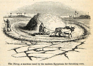1854 Woodcut Ancient Egypt Agriculture Farming Equipment Livestock XGP5